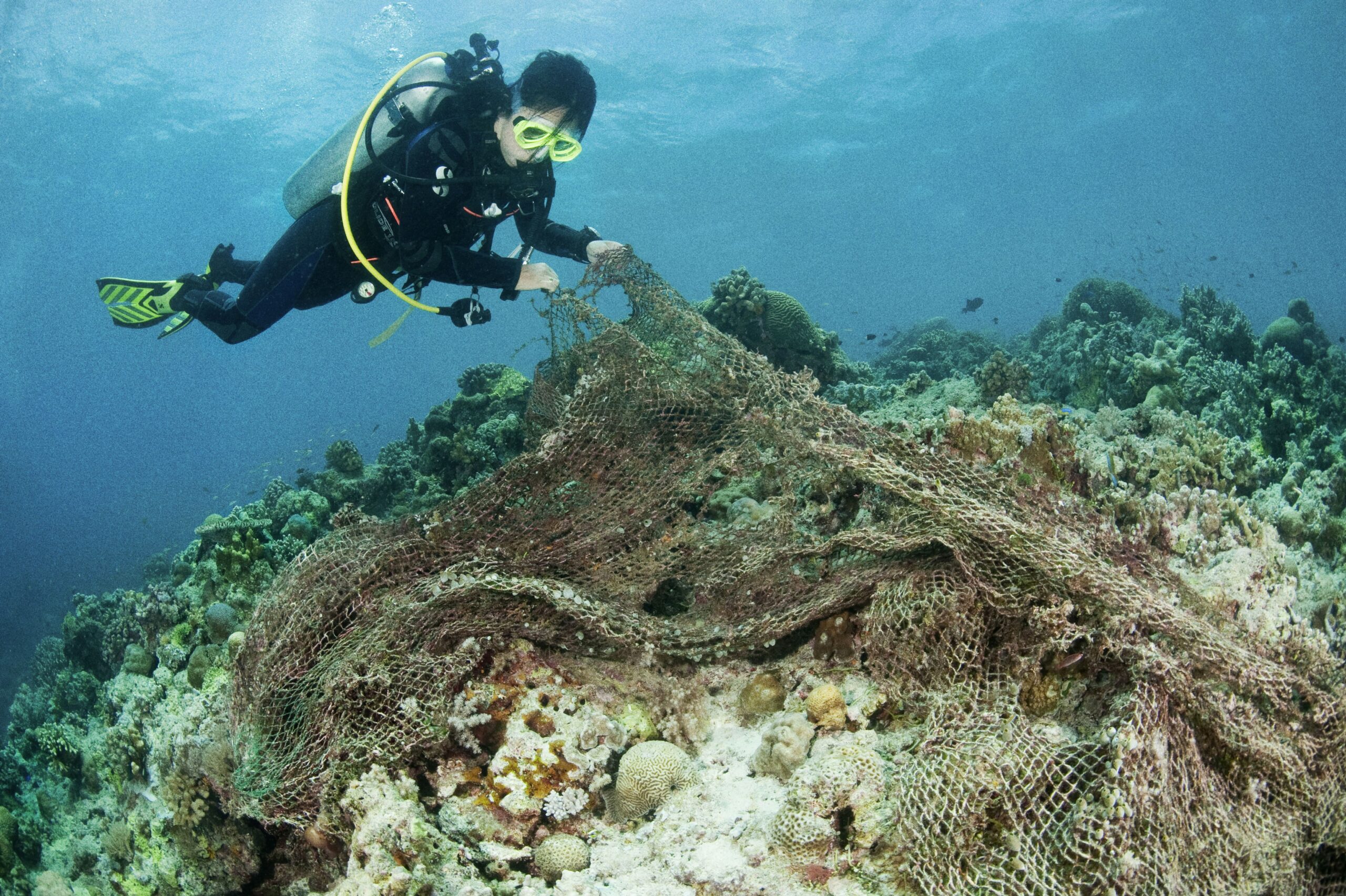 Deniz Plastik Çöpünün en Ölümcül Haline Son!